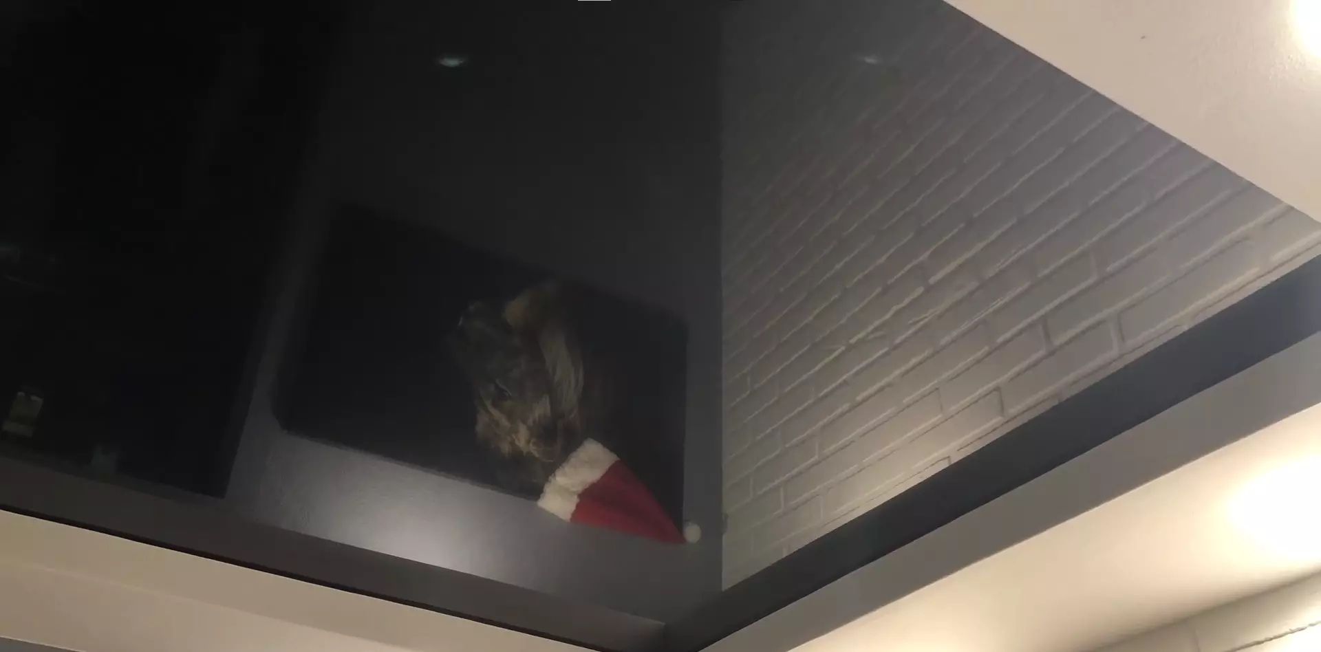 Липецк, Свиридова, 18, фото 3