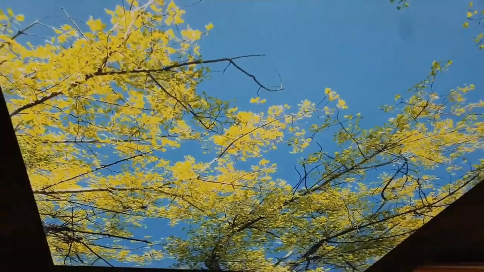 Ялта, , фото 2