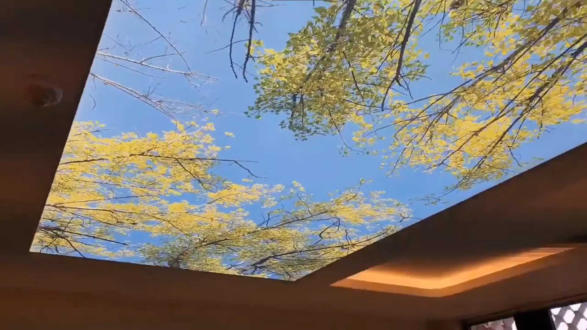 Ялта, , фото 3